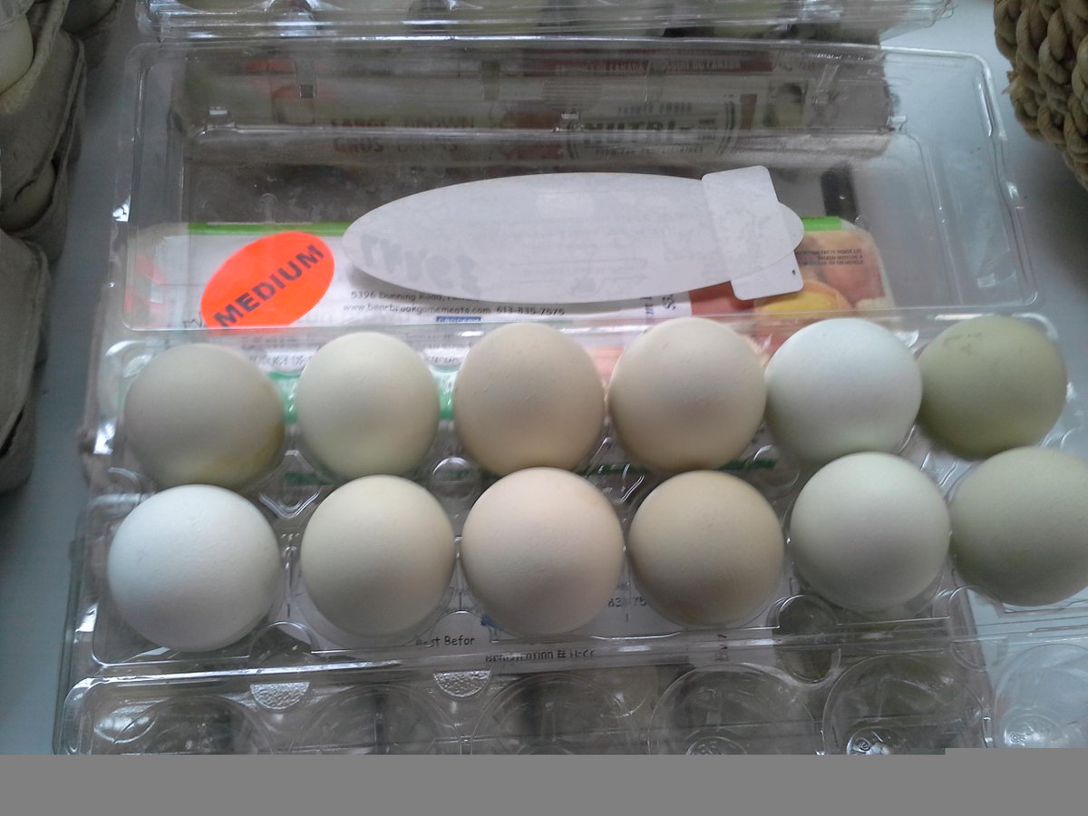 OttawaFarmMkt's tweet photo. #trivia: How many types of eggs are at the #wintermarket? Chicken, duck, goose &amp; peacock at Bearbrook Game Meats! http://t.co/6ZIcvMXMy6
