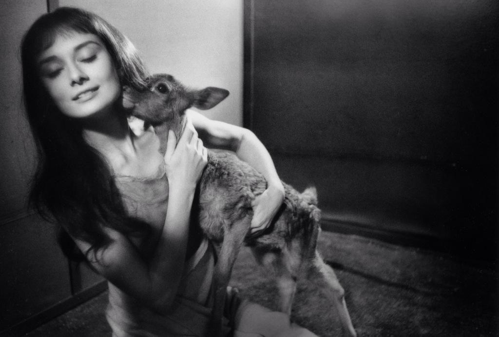 Audrey Hepburn about to snap a young fawn's neck and throw it on the pile with the rest, 1955.