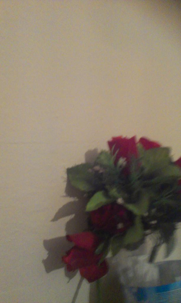 Zeertekin's tweet photo. http://t.co/gpaSOvLMXL