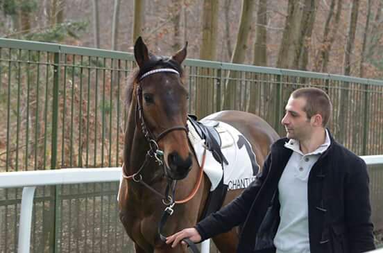 Morgane456's tweet photo. @EcurieBerthelot  Tatosky Blue photo prise hier par Myosotis du forum Peslier http://t.co/nsLYXnIIfy