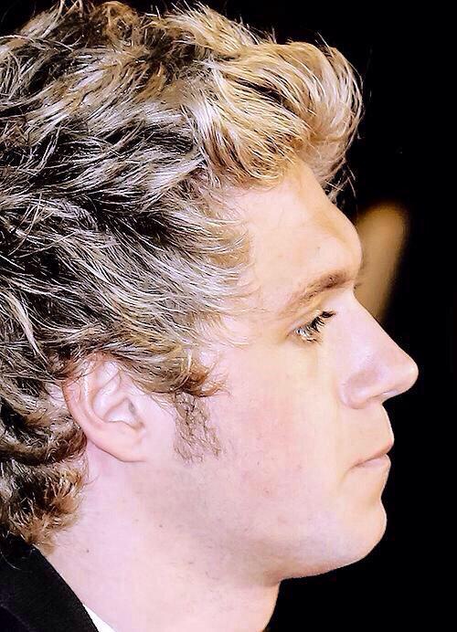 appreciationjh's tweet photo. NIALL'S SIDE PROFILE APPRECIATION TWEET http://t.co/vPwmIi3jy2