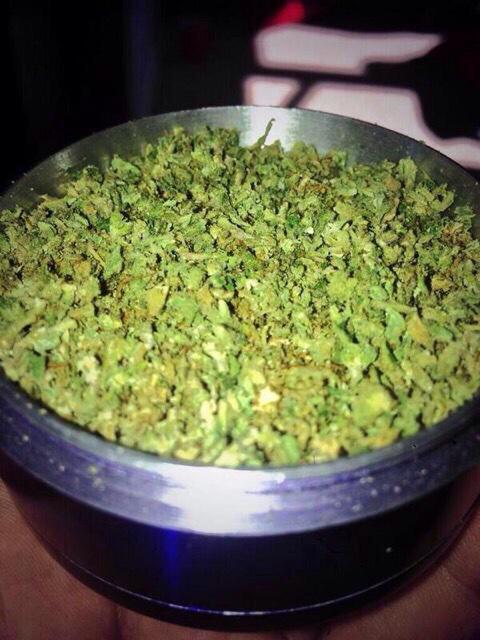 ThcTime's tweet photo. Full grinder Is a good grinder http://t.co/OYbdWMMrpK