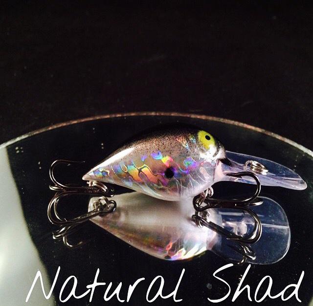 FulksCustoms's tweet photo. RT if you like this #FC #Wart in #Natural #Shad! #custompainted #bassfishing #bass #fishing #crankbaits #fulkscustoms http://t.co/HH9lCs3h9K