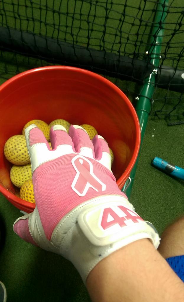 44ProCustom's tweet image. “@stepowskido: @44ProGloves ready for the season to start http://t.co/6l20Sr4IpR” #SwingForTheCure