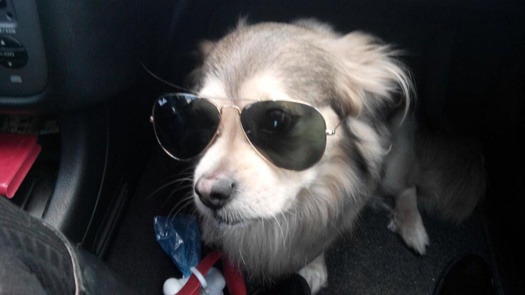 Martín JT tweet media