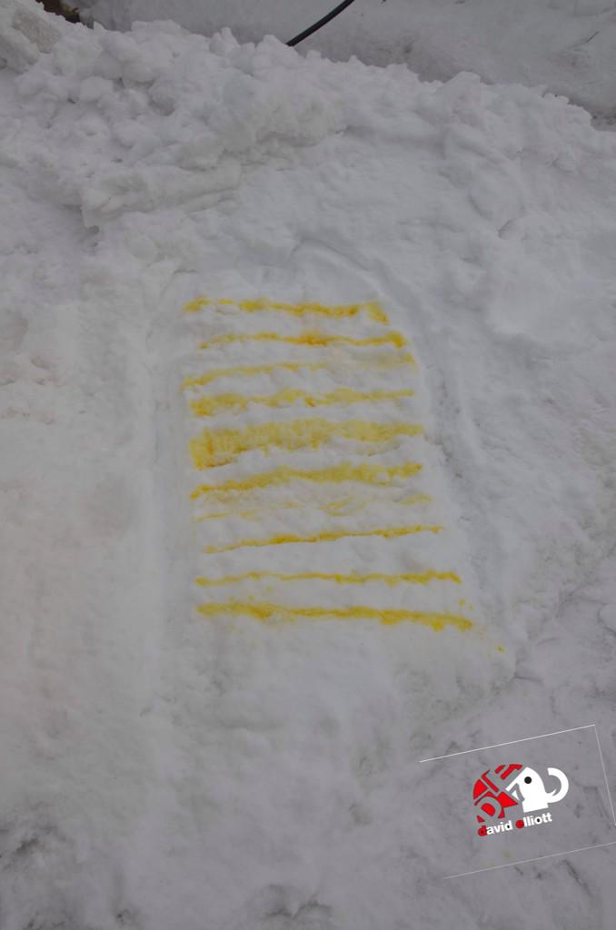 davidelliottol's tweet photo. @AP What colors do you see? http://t.co/t9S9uDsa6m