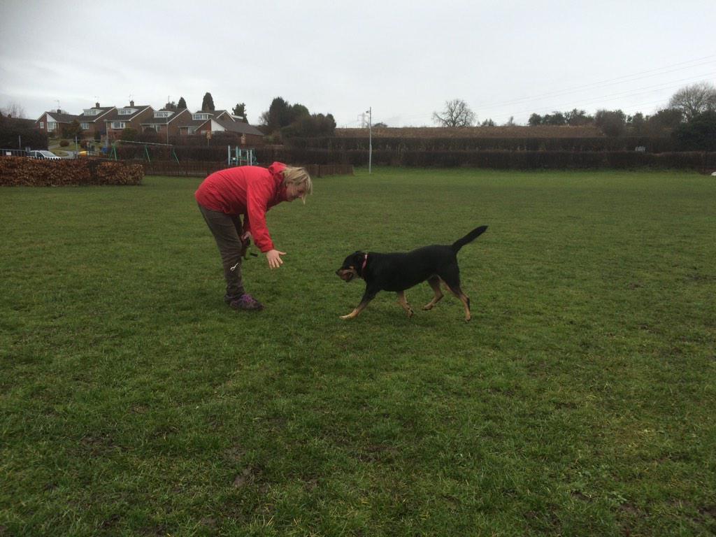 Wombourne Dog Walker tweet media