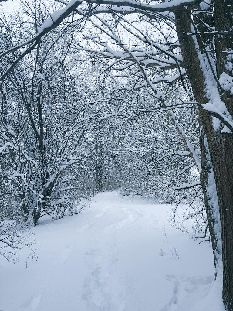 KolbyKramer's tweet photo. Snowed a lot! http://t.co/bHd21DpssO