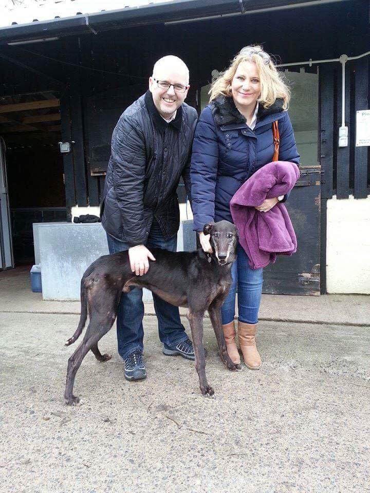Stephenjtom's tweet photo. @brucehunter4 Ron our rescue dog has arrived 🐶 http://t.co/2PDaBPM2Cd