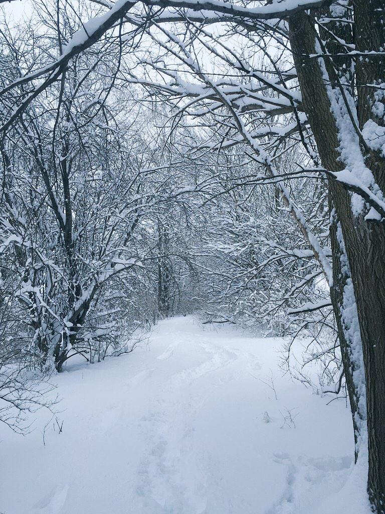 KolbyKramer's tweet photo. Snowed a lot! http://t.co/x1XFxG5Wr2