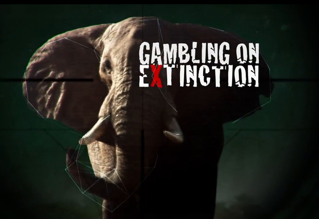 biglifeafrica's tweet photo. "We can have #elephants or we can have the #ivory trade, we can't have both." Watch @GOEfilm @ http://t.co/JVQEa1WyUo http://t.co/3UTSLaOJHc