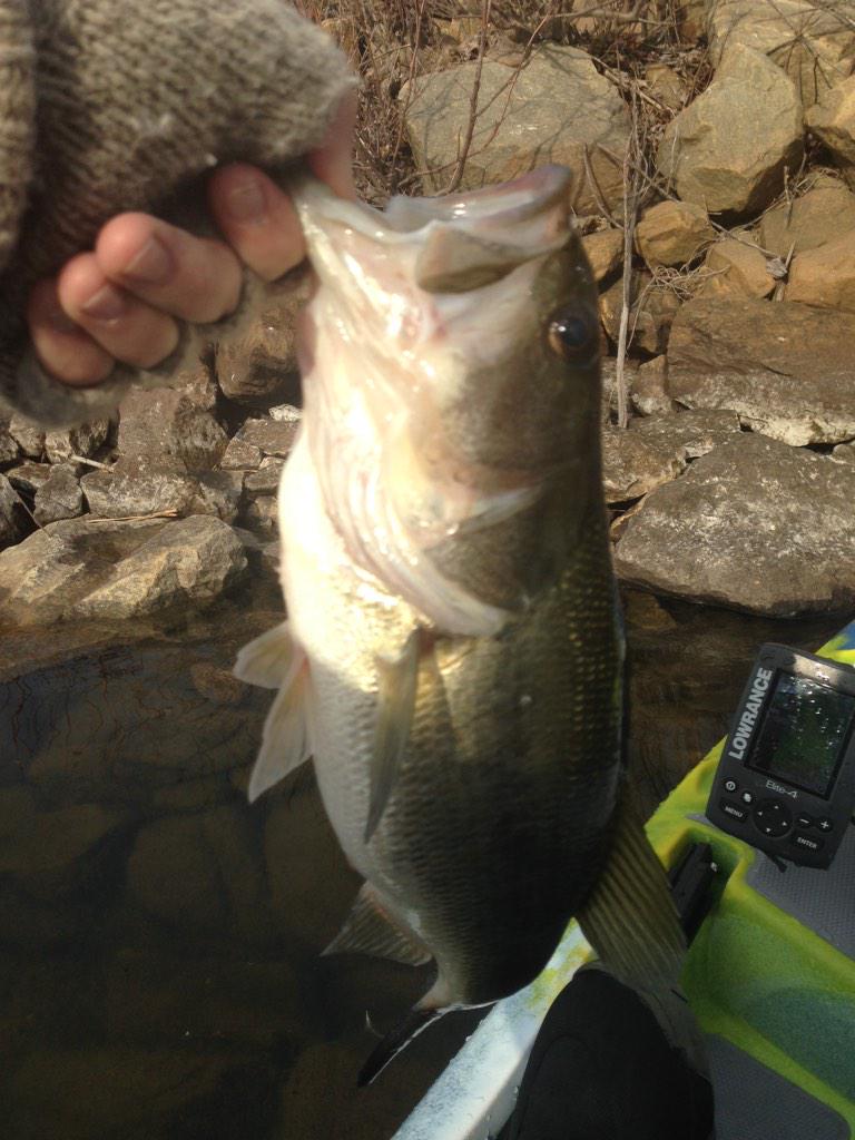 YakFisherPA's tweet photo. One of the ones I got prefishing. #lakeanna #shanksmareoutfitters #jacksonkayaks #wernerpaddles #butterit #yakangler http://t.co/fyx1tORF1r