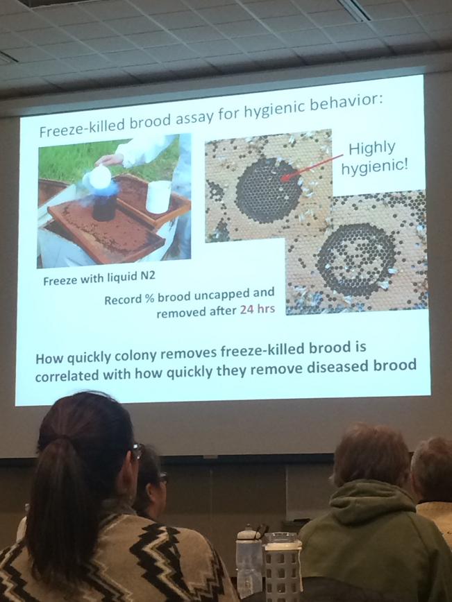 chefmattquist's tweet image. #beeknowledge