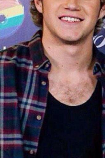 appreciationjh's tweet photo. NIALL'S CHEST HAIR APPRECIATION TWEET http://t.co/LarA7f2Vlc