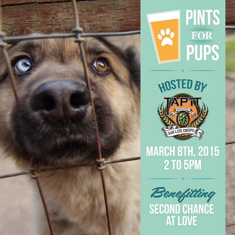 Join us at <a href="/tapitbrewing/">Tap It Brewing Co.</a> next Sunday, March 8th!