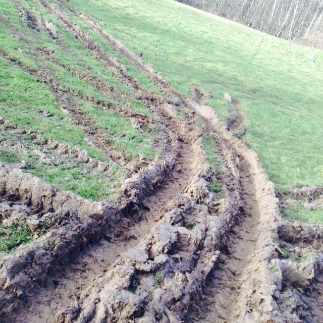 Ruts 👌