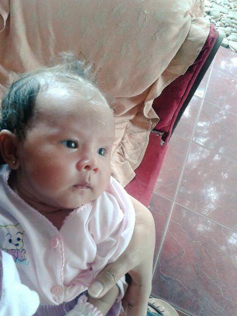 lowiskuncoro's tweet photo. Ini dia bre breku cantik kan :D http://t.co/dLugZ4bKqy