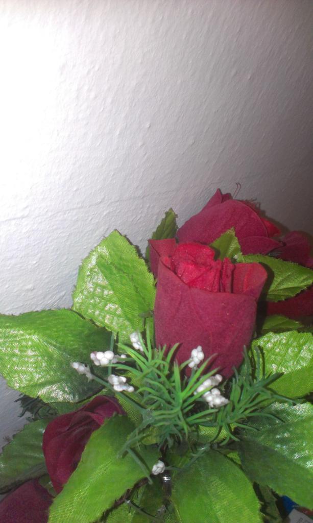 Zeertekin's tweet photo. http://t.co/Rx0Q2Cxyu9
