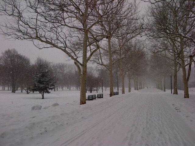 freshkillspark's tweet image. Flushing meadows corona park @nycparks @designtrust @QueensMuseum #worldspark #communitydesign #outerboroughs