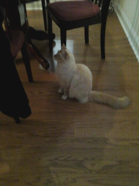 AddisonDougall tweet picture