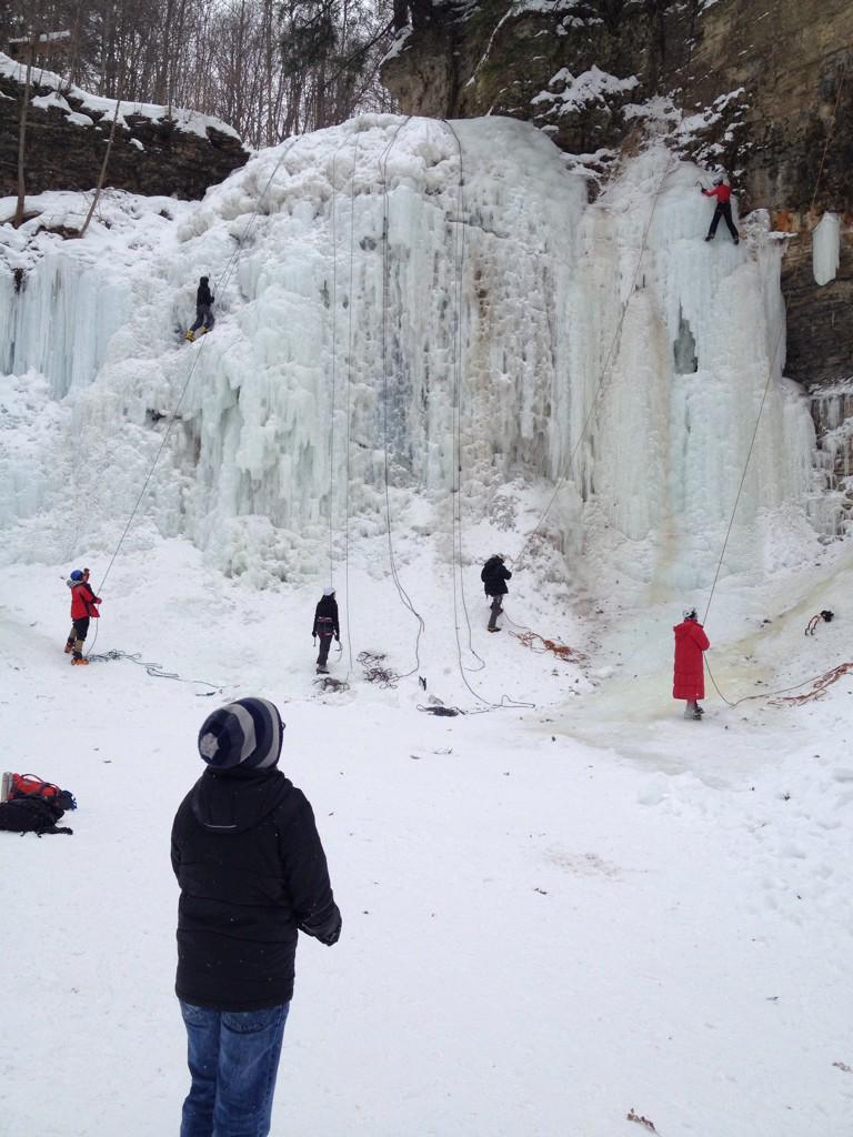 dave behiel tweet media