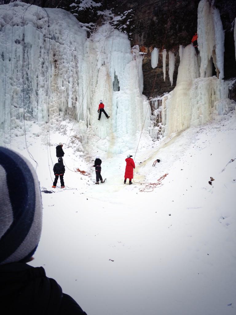 dave behiel tweet media