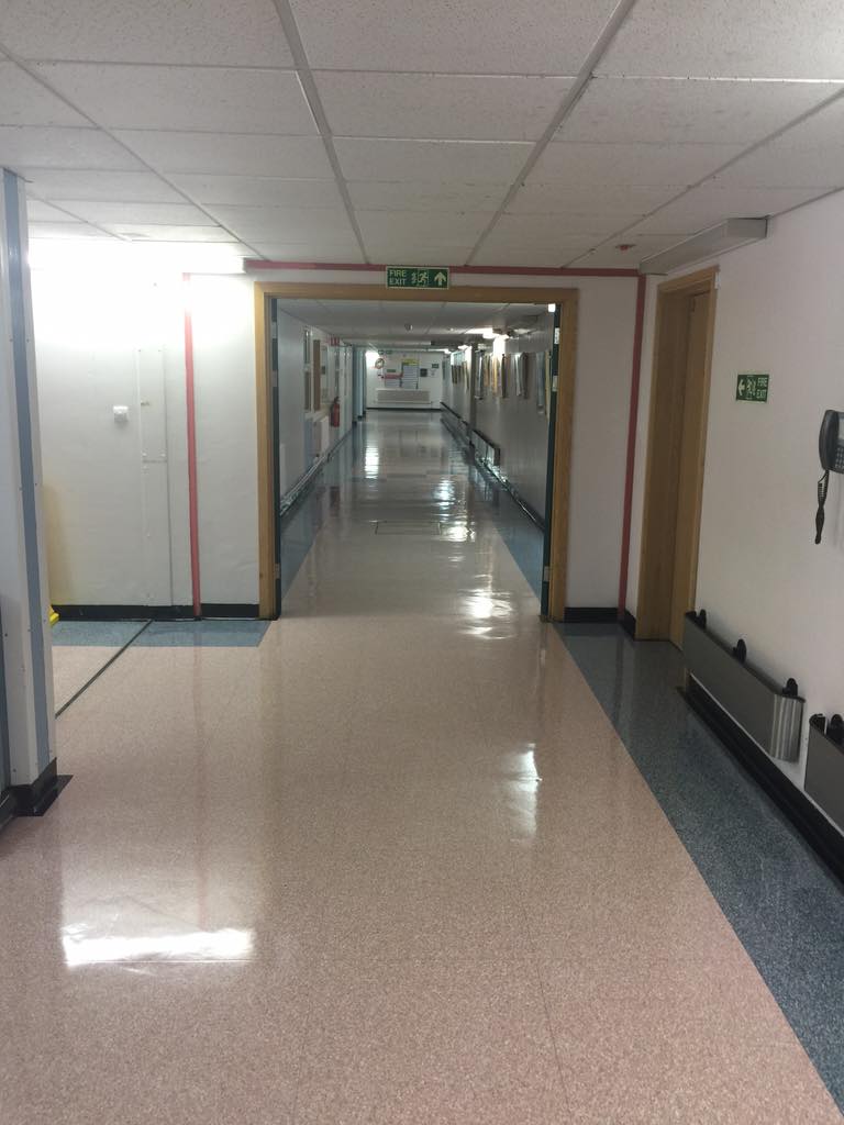 DrSteveDunn's tweet image. Shiny front passage @checkettsr #PerfectSystem #PerfectFloors