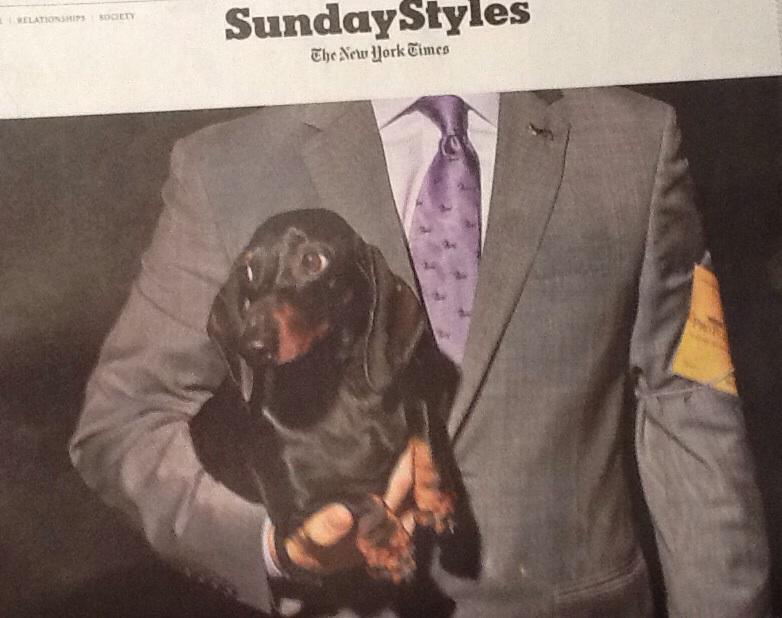 LParsons69's tweet photo. Gosh, Max the Dachshund and I never saw that NYT photographer. What a pleasant Sunday surprise.
#oreillyrules http://t.co/DPJlitVrDW