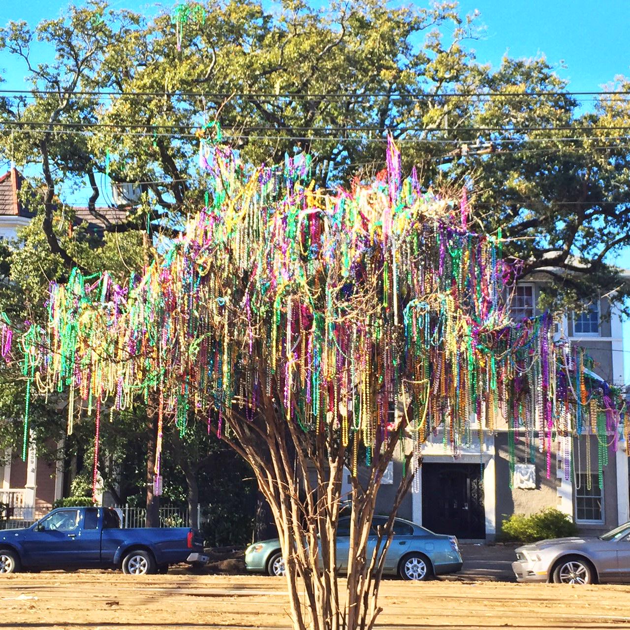 Mardi Gras World on X: This #bead tree on St. Charles Avenue has always  been a #popular one. #MardiGras #NOLAvibes  / X