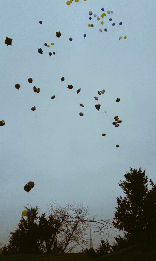 Happy Birthday D\Angelo. You will be missed. 