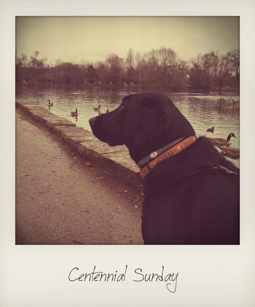 raiderlab's tweet photo. Centennial Sunday http://t.co/eXbDEwXHAJ