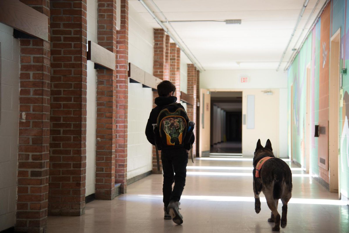 K-9 Unit training building search. We're grateful to members, family and friends who hide! <a href="/JimDeLilloPhoto/">Jim DeLillo</a>