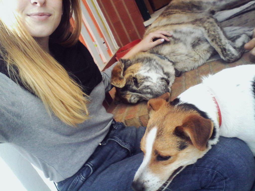 anaplatero's tweet photo. A dormir después de un día en buena compañía http://t.co/1hgNWbhsLt