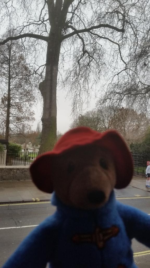 GIUBELLUA's tweet photo. #paddingtonsbritain Italian family and Paddington http://t.co/DksTmnw7ea