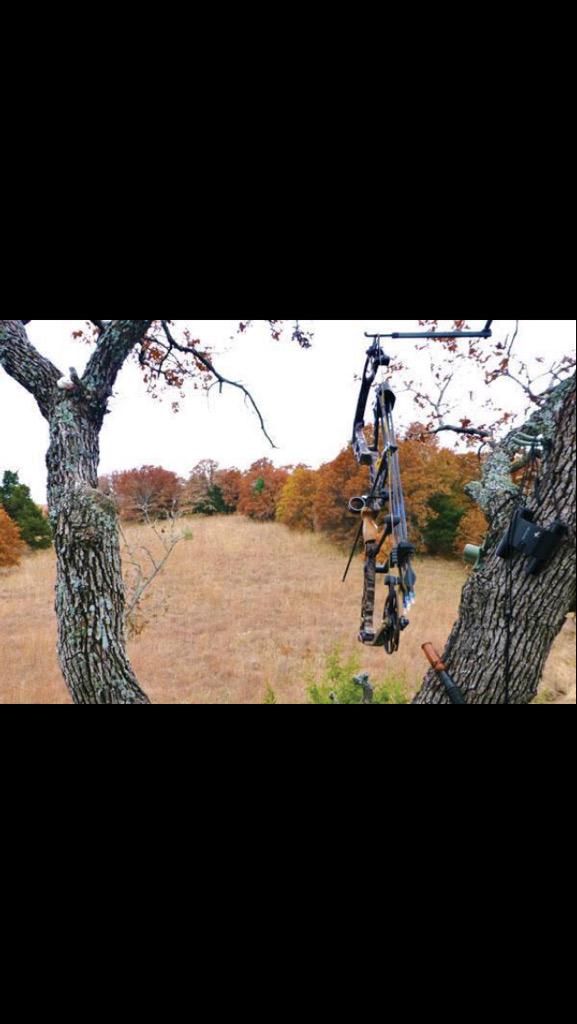 MeadowsOutdoors's tweet image. I can't wait long enough #MeadowsOutdoors