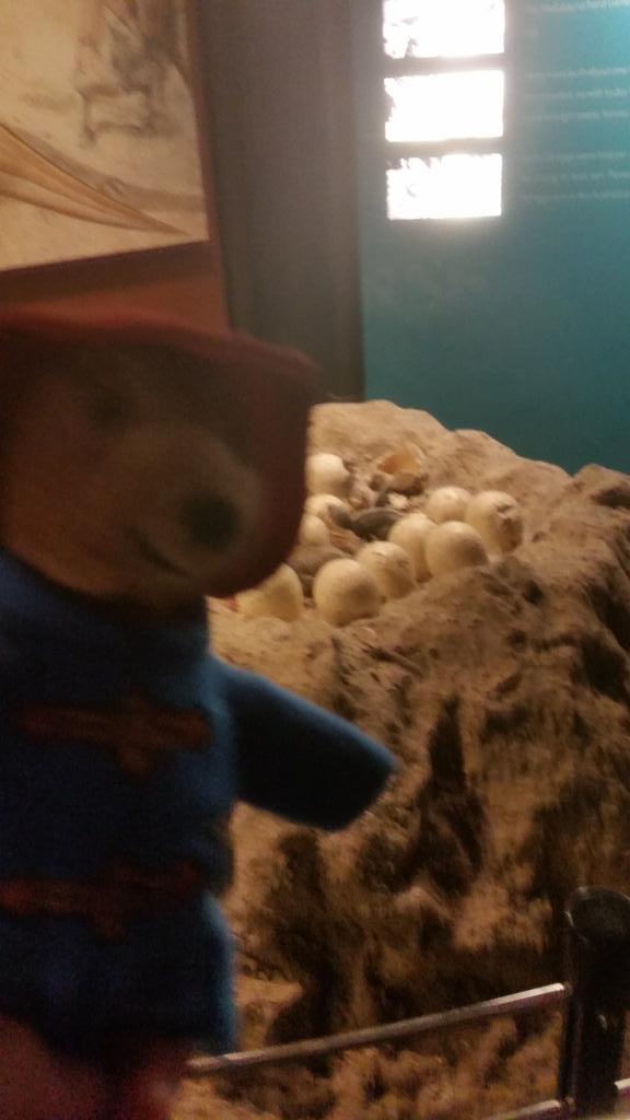 GIUBELLUA's tweet photo. #paddingtonsbritain Italian family and Paddington http://t.co/bvi9FMuXPc