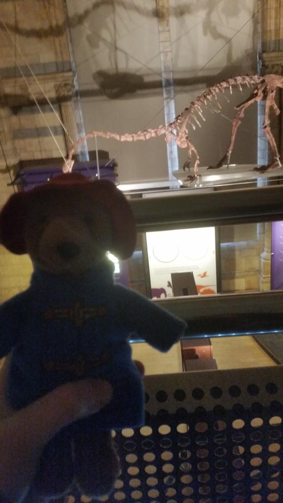 GIUBELLUA's tweet photo. #paddingtonsbritain Italian family and Paddington http://t.co/bvi9FMuXPc