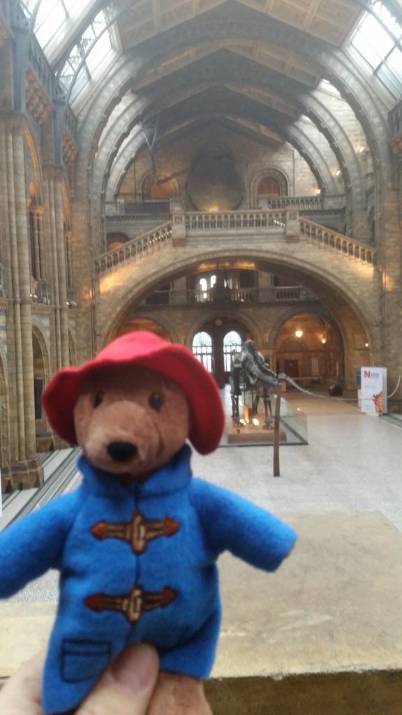 GIUBELLUA's tweet photo. #paddingtonsbritain Italian family and Paddington http://t.co/PbuB1qSFuM