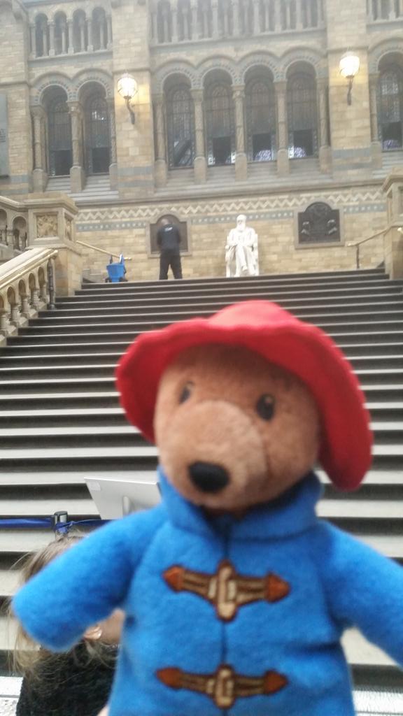 GIUBELLUA's tweet photo. #paddingtonsbritain Italian family and Paddington http://t.co/PbuB1qSFuM