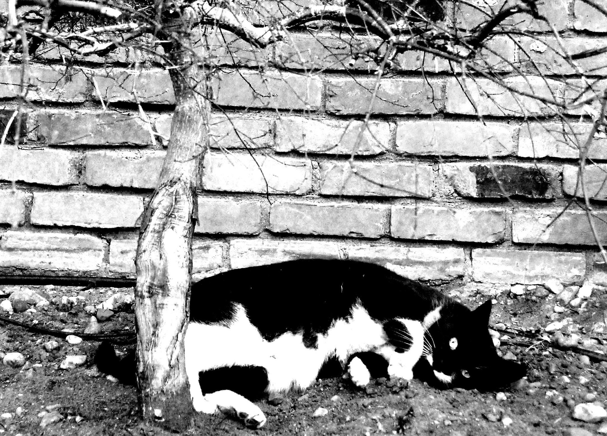 Happy Birthday Otis! You are so much more important than Justin Bieber! 