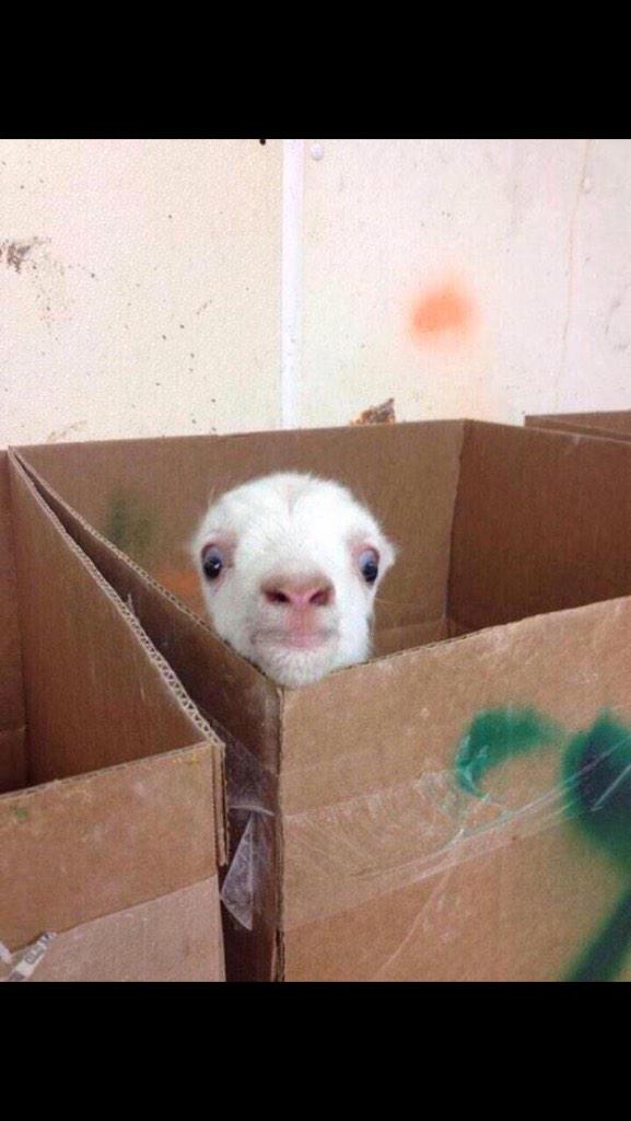 _highlogic's tweet image. when ur at a party and u smell weed