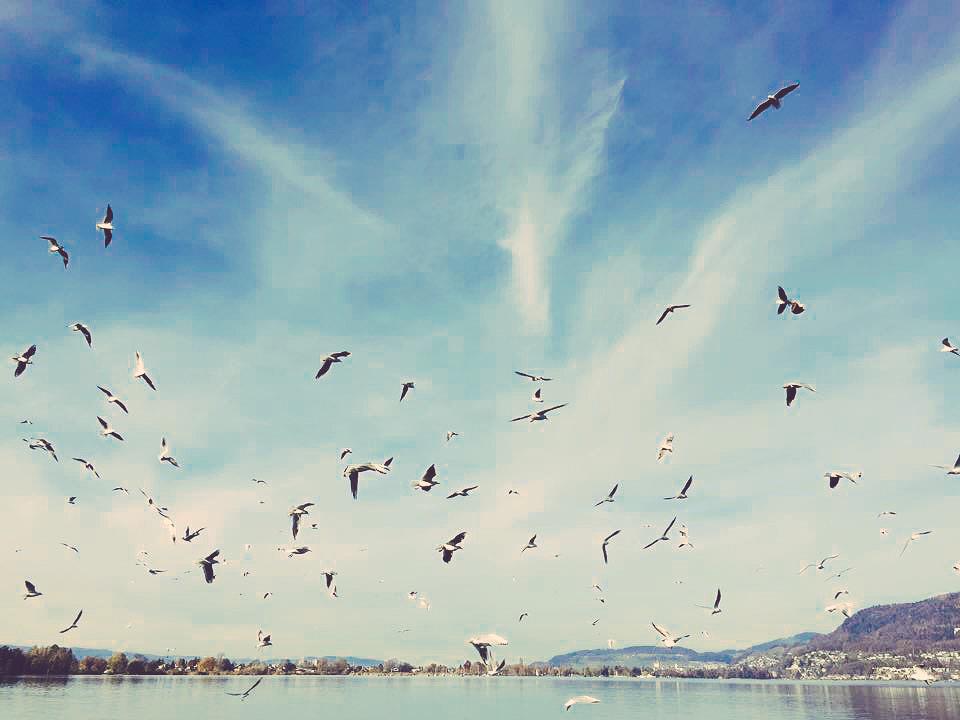 am_minderova's tweet photo. #perfectnature #naturebymyself http://t.co/BtaOoXx8yu