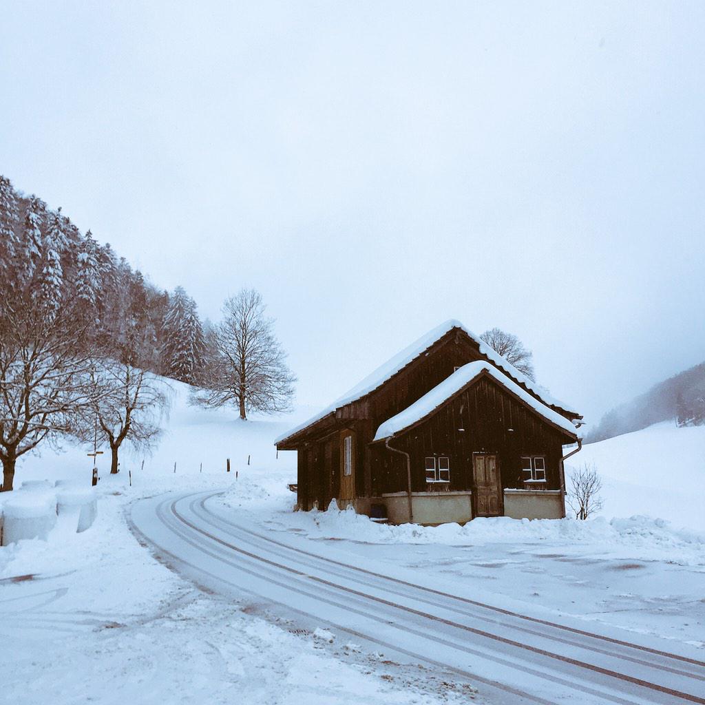 am_minderova's tweet photo. #perfectnature #naturebymyself http://t.co/AIGexdv5Jn