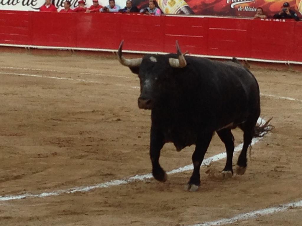 Enlace permanente de imagen incrustada