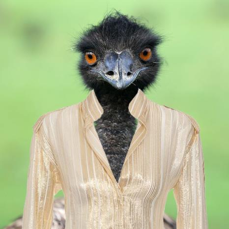 erictheemu's tweet photo. Today I feel like wearing my favourite blue and black shirt.

#dresscolour #dressgate http://t.co/fNsIp2SPnF