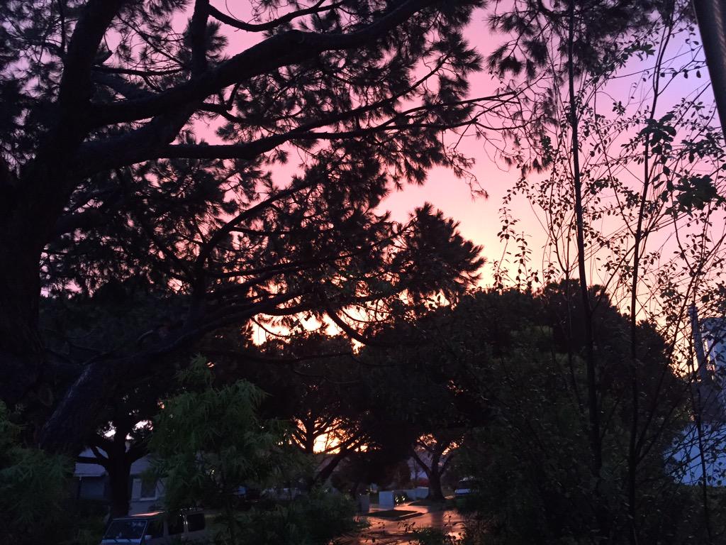 After the hail <a href="/Eli_Finn/">finn</a> and I saw this in #marvista, just glad we got some rain! #mydayinla