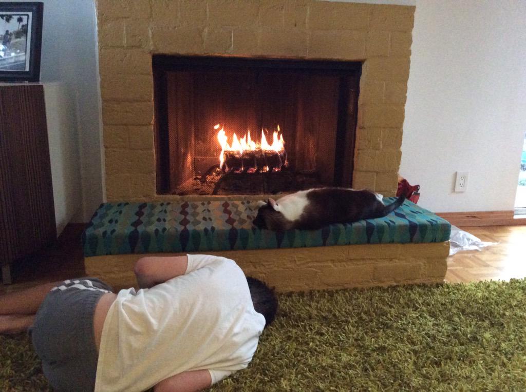 #cat knows what kind of day it is and so does my boy.