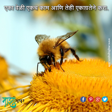 majhapaper's tweet photo. एका वेळी एकच काम आणि तेही एकाग्रतेने करा । @majhapaper | #marathi #inspirational #quotes #online #newspaper http://t.co/2D5MCdfhsV