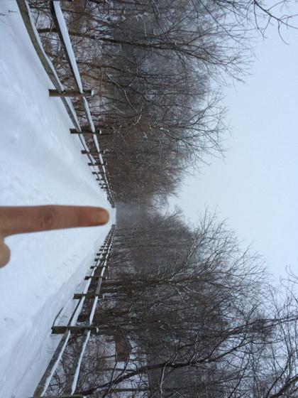 savagebrown's tweet photo. #@&amp;$winter http://t.co/znr5GSMrnB