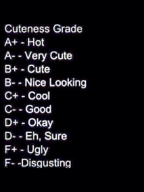 vortex_wolf's tweet image. 